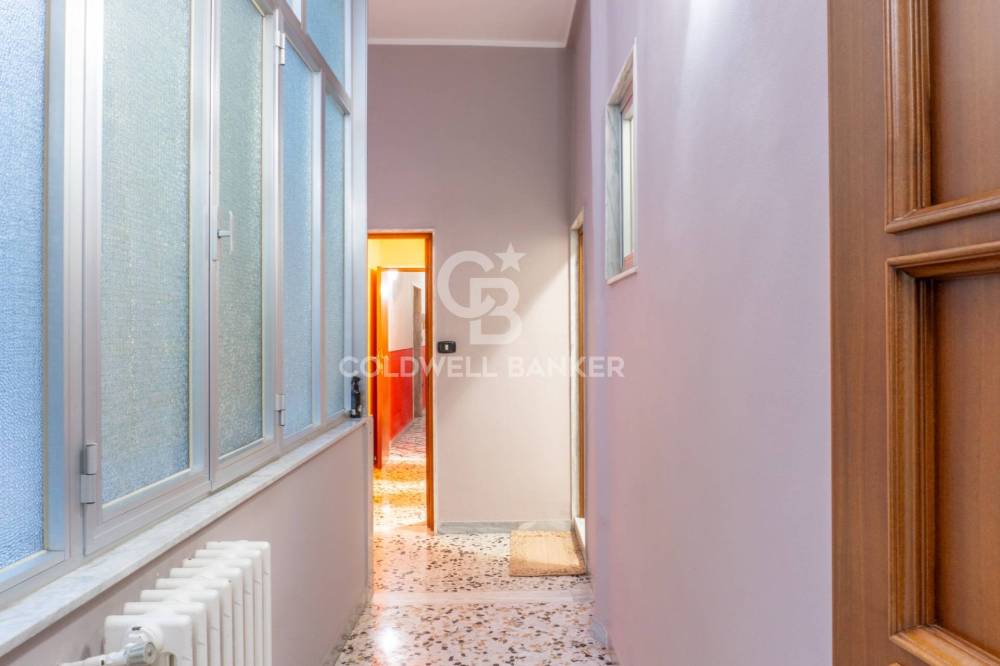 immagine annuncio 7 di 13