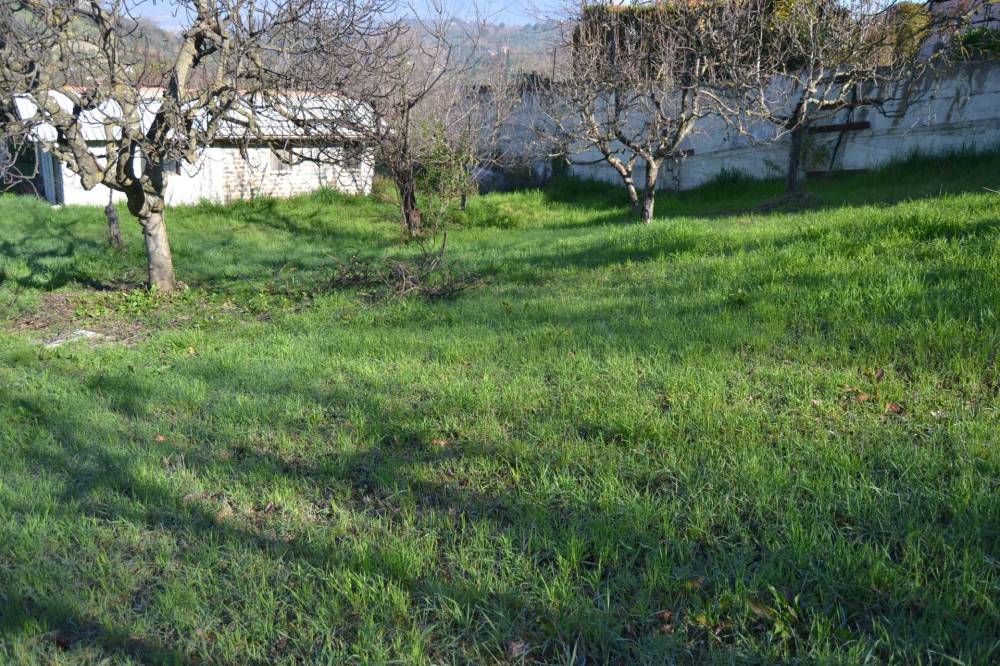 immagine annuncio 5 di 13