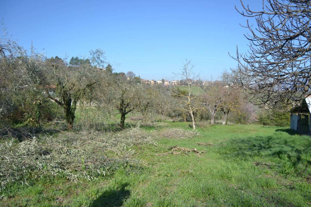immagine annuncio 7 di 13