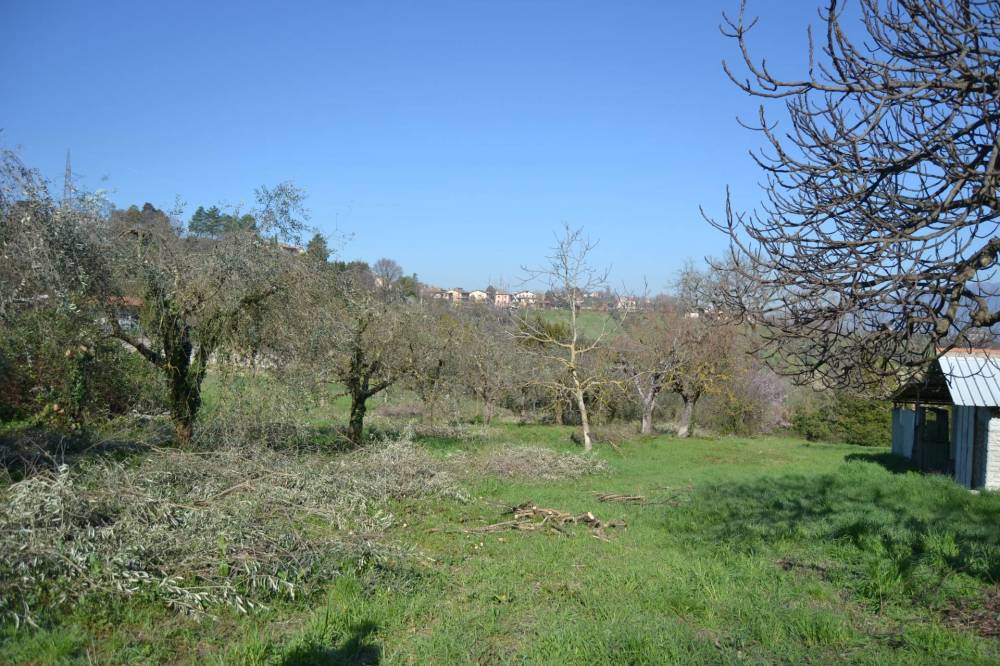 immagine annuncio 8 di 13