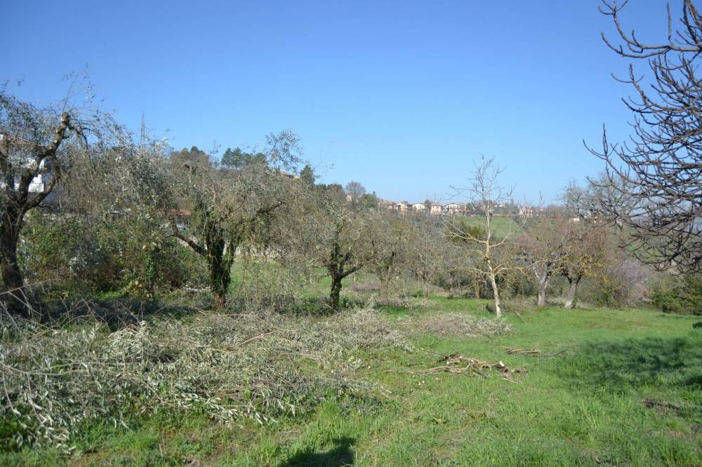 immagine annuncio 9 di 13