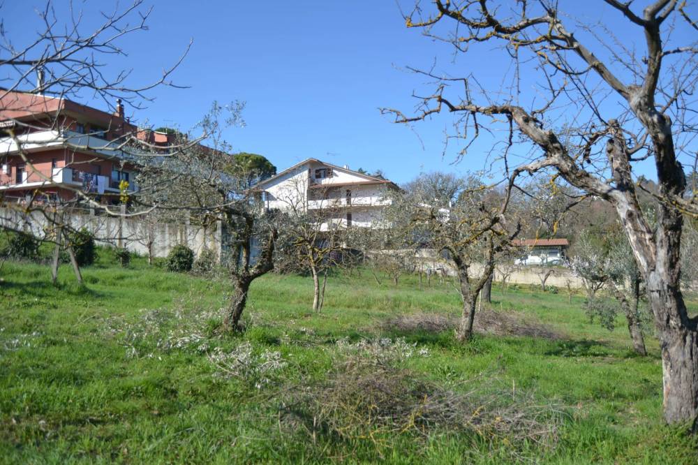 immagine annuncio 12 di 13