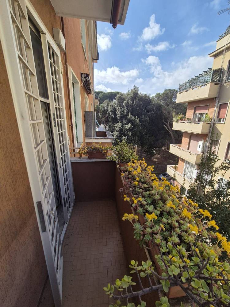 immagine annuncio 9 di 13