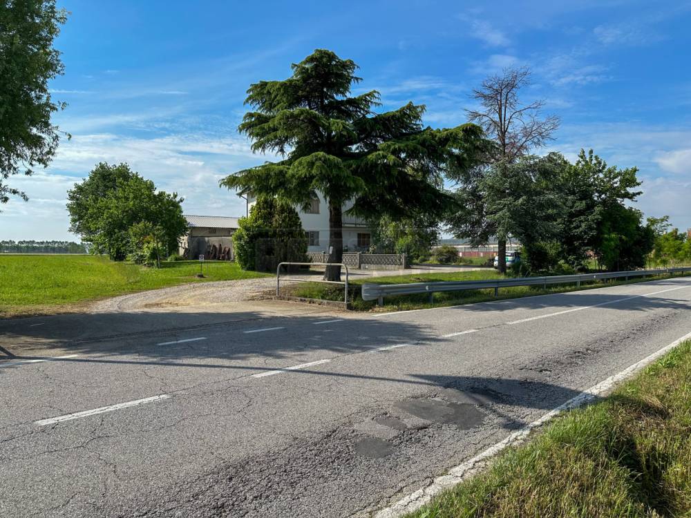 immagine annuncio 1 di 13