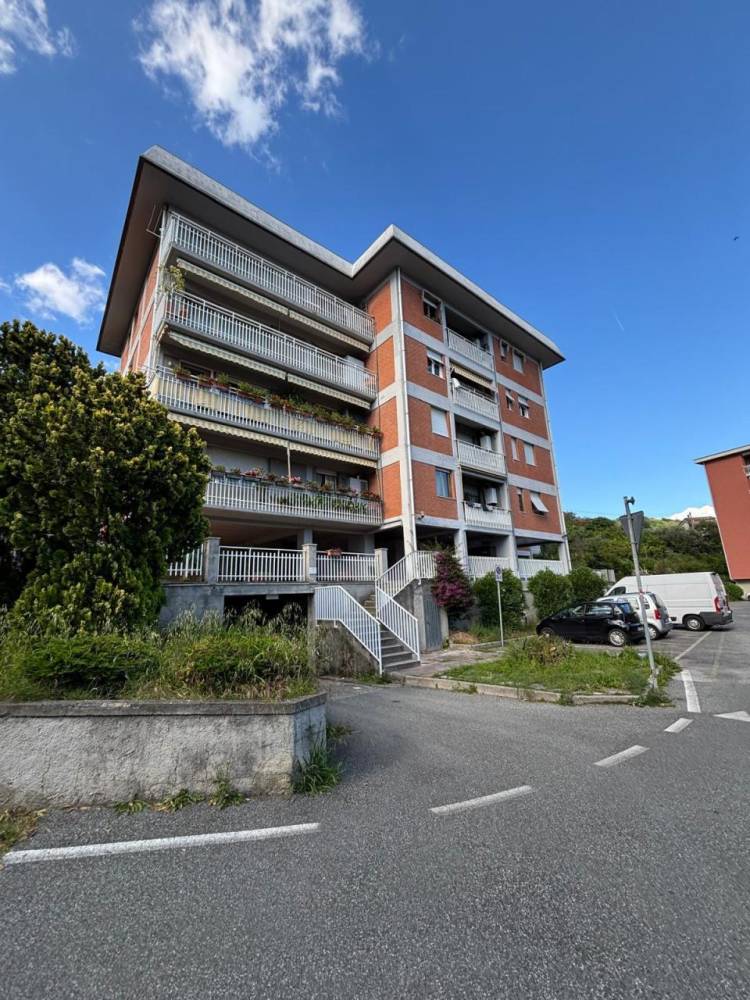 immagine annuncio 2 di 13
