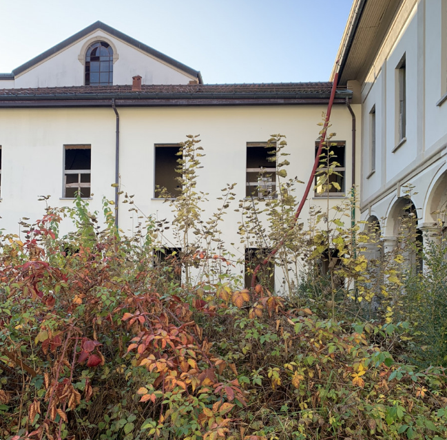 immagine annuncio 10 di 13