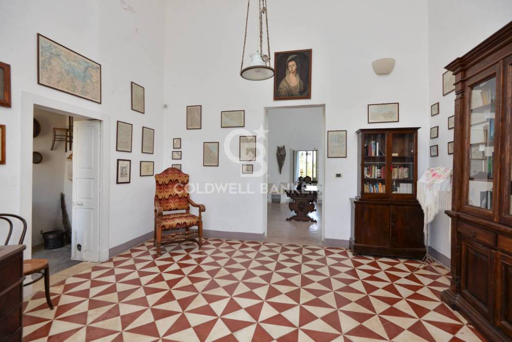 immagine annuncio 12 di 13