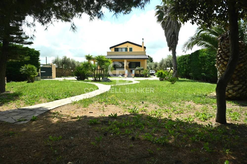 immagine annuncio 3 di 13