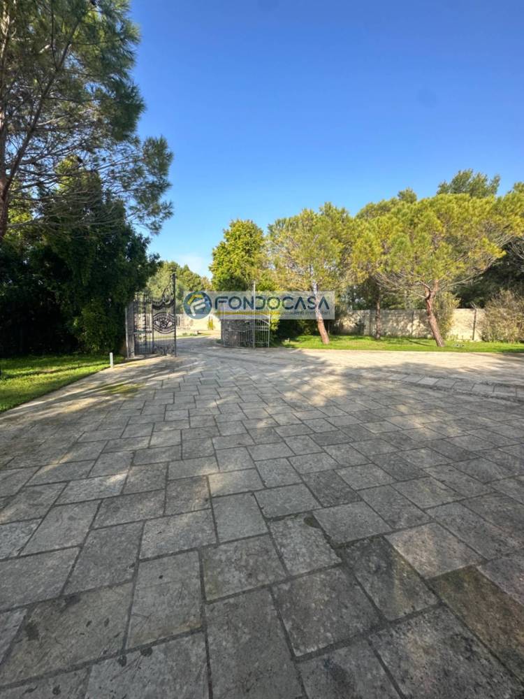 immagine annuncio 10 di 13