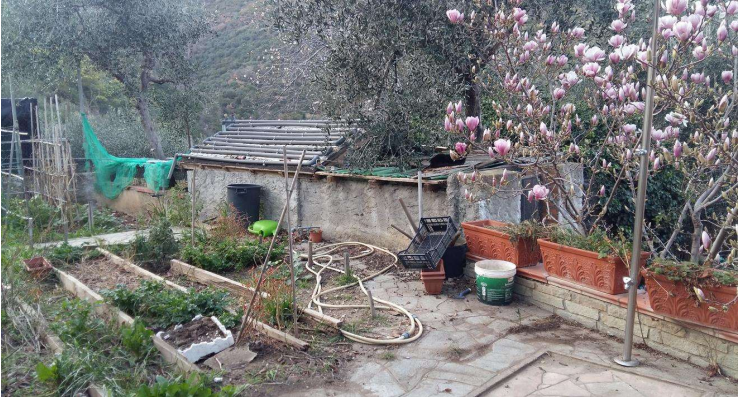 immagine annuncio 1 di 13