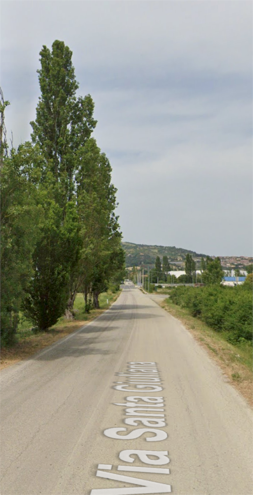 immagine annuncio 11 di 13