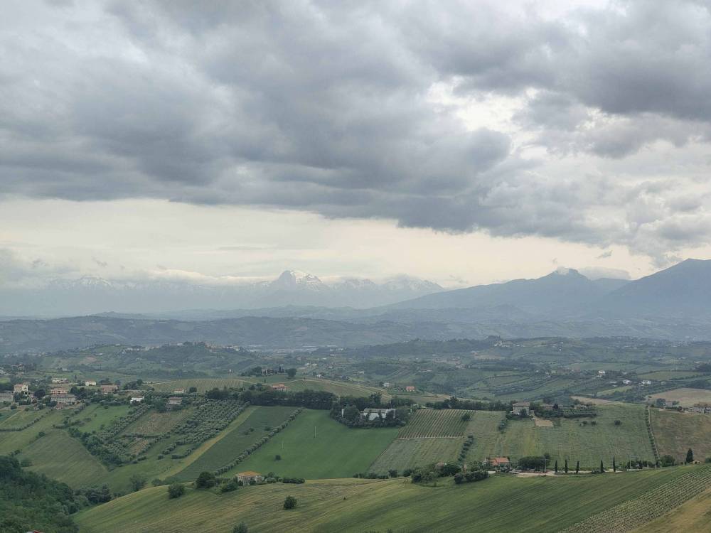 immagine annuncio 8 di 13