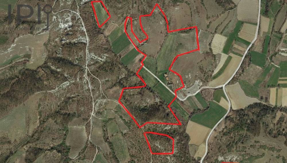 immagine annuncio 12 di 13