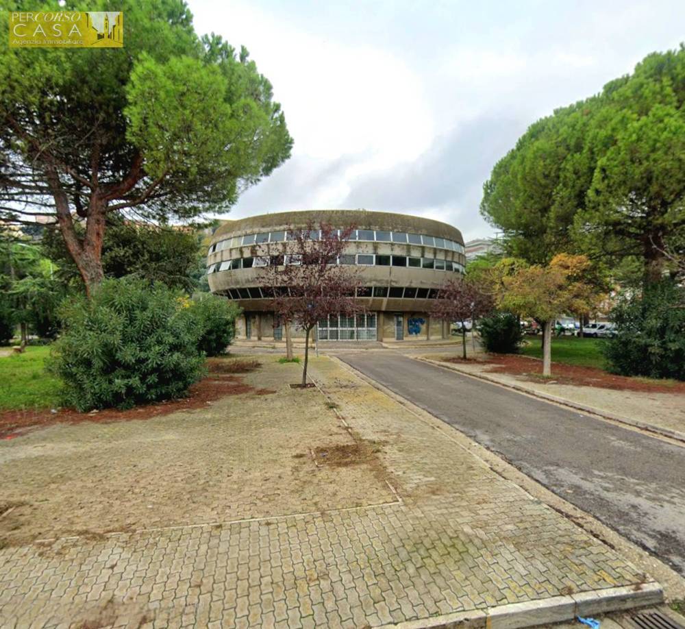 immagine annuncio 6 di 13