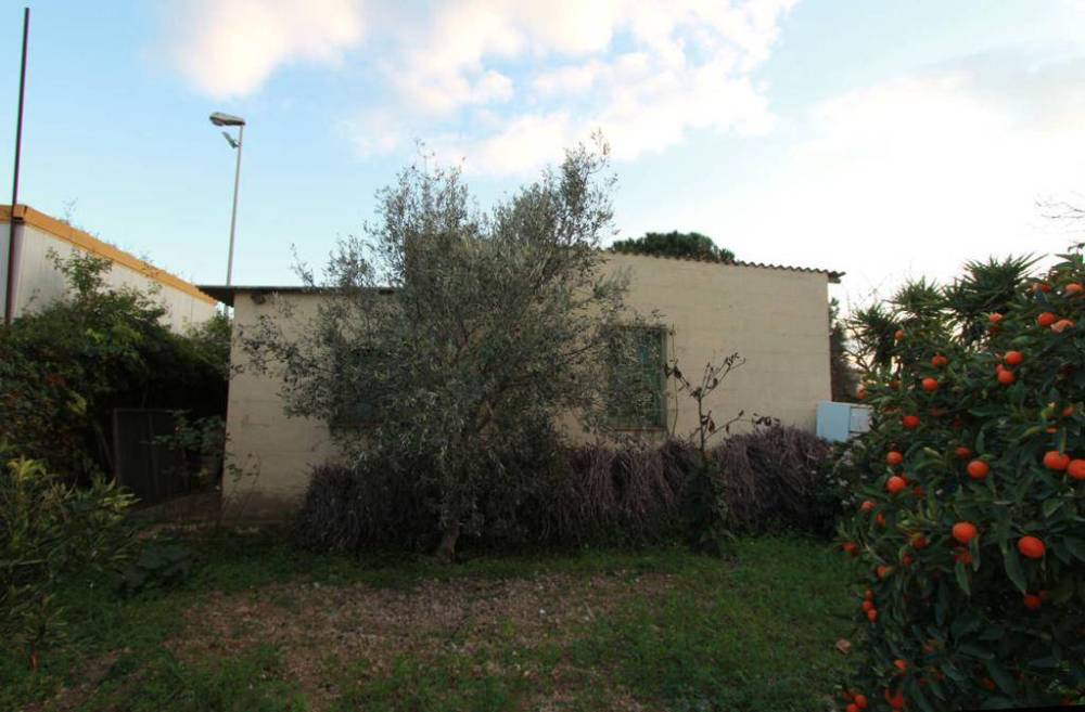 immagine annuncio 10 di 13