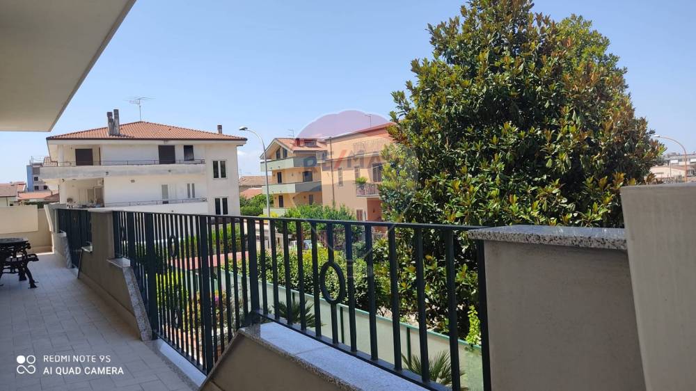 immagine annuncio 5 di 14