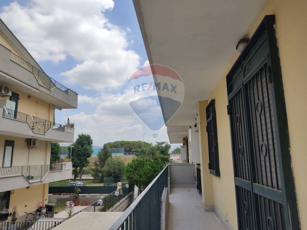 immagine annuncio 7 di 14