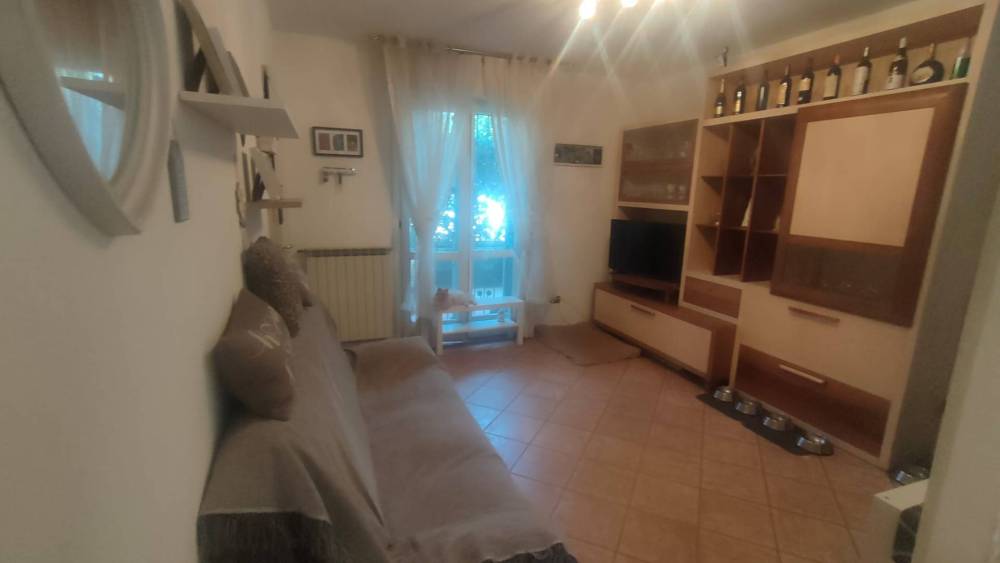 immagine annuncio 4 di 13