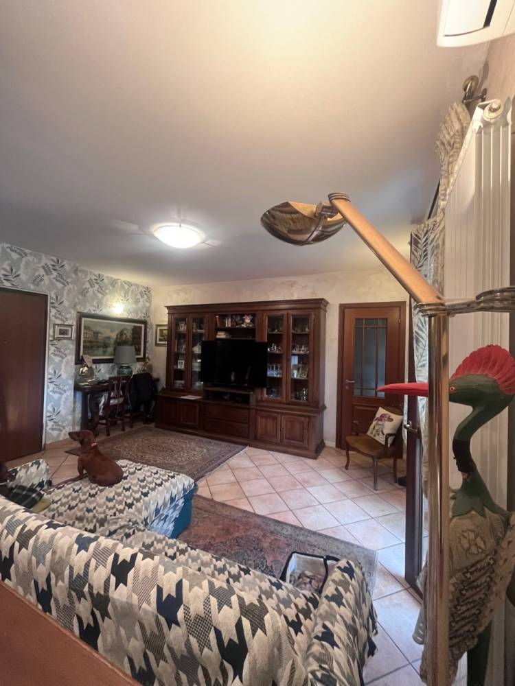 immagine annuncio 6 di 13
