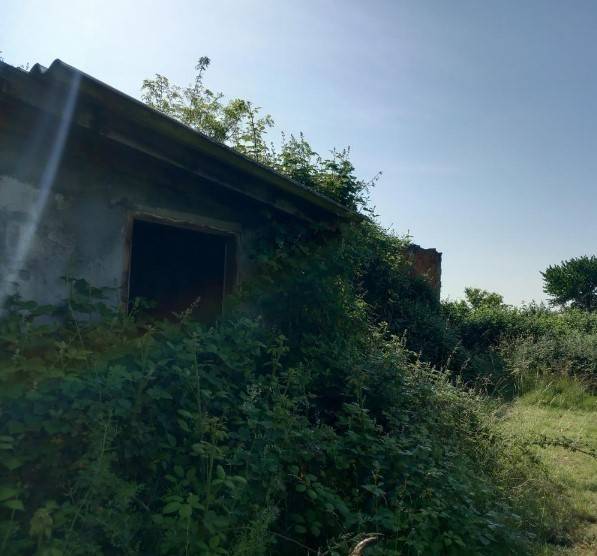 immagine annuncio 1 di 6