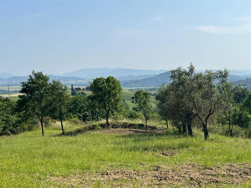casa indipendente in vendita a Piegaro in zona Gaiche
