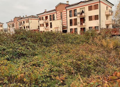 immagine annuncio 1 di 12