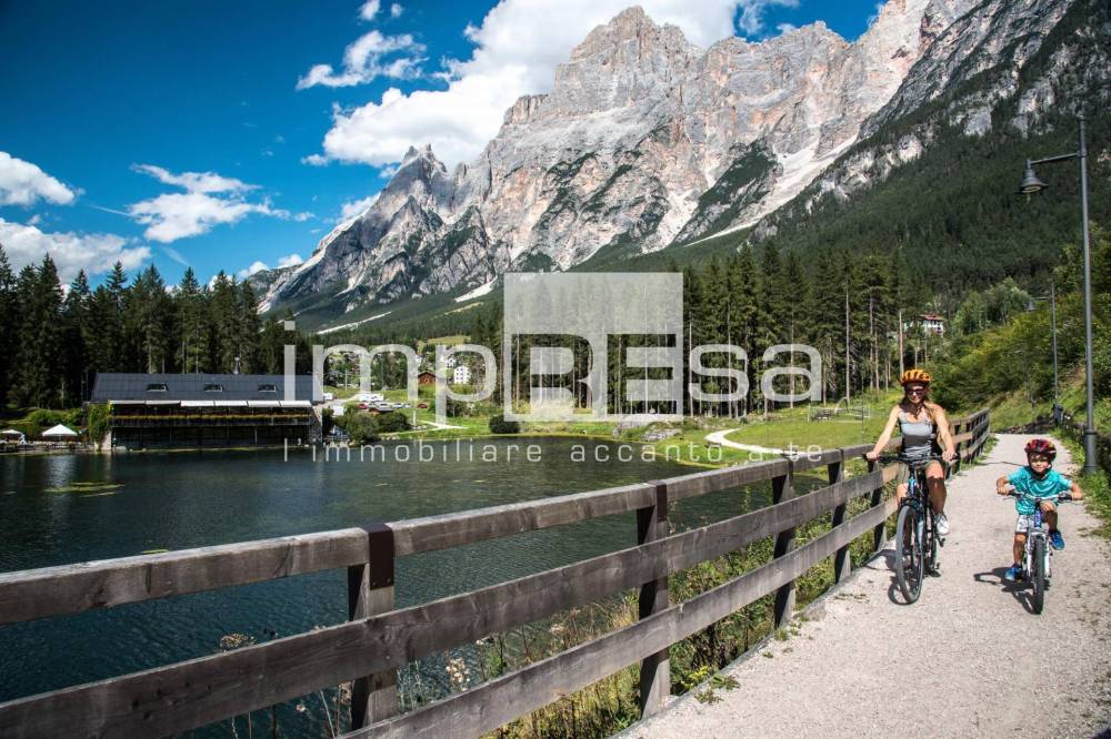 immagine annuncio 2 di 13