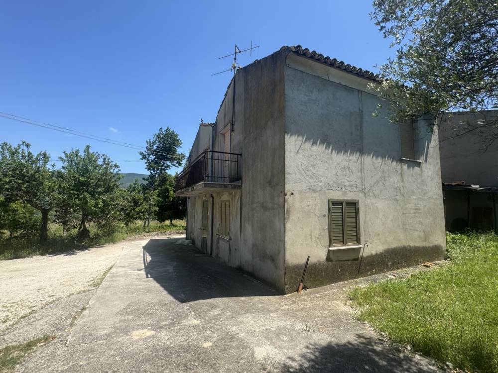 immagine annuncio 2 di 13