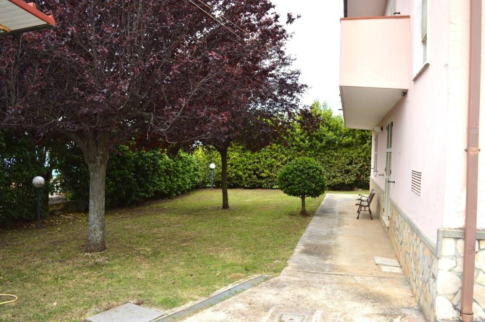 immagine annuncio 7 di 13