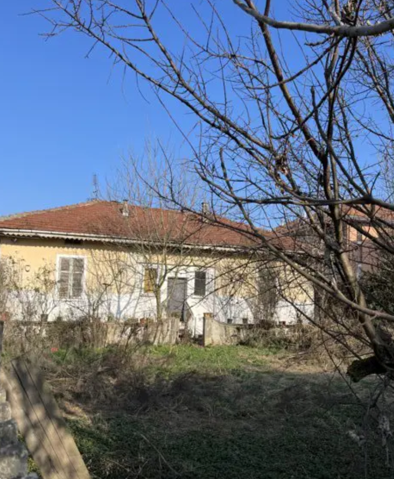 immagine annuncio 1 di 13
