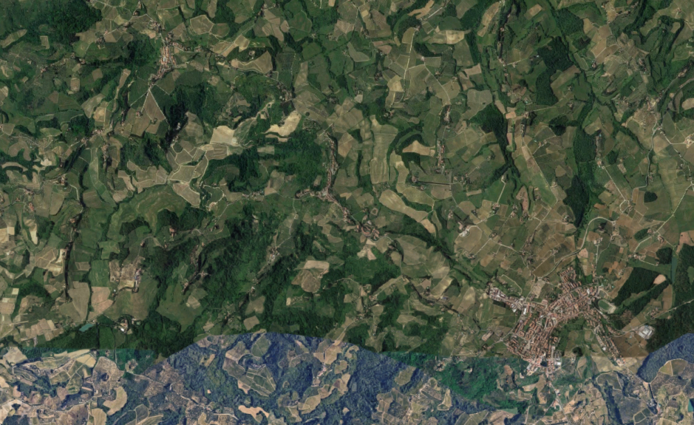 immagine annuncio 9 di 13