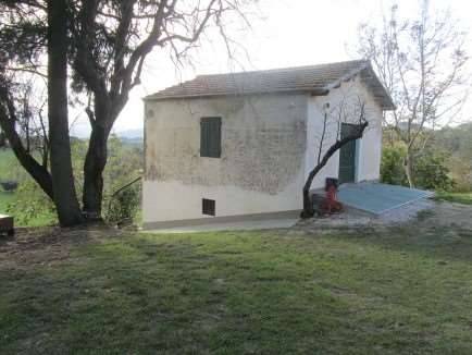 immagine annuncio 2 di 13