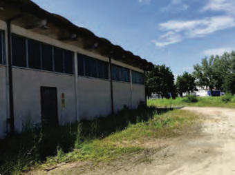 immagine annuncio 7 di 13