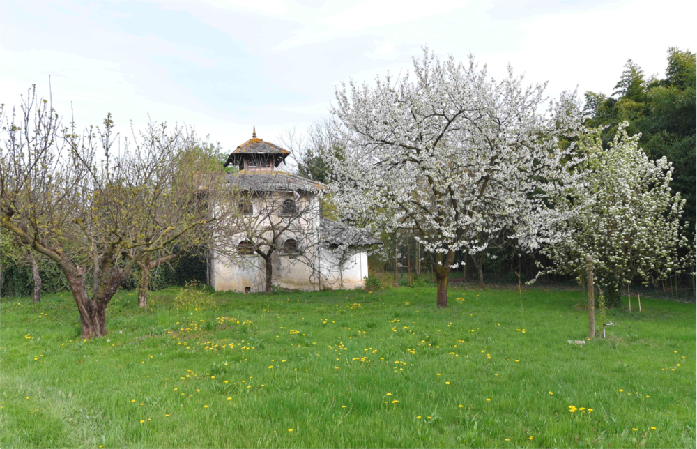 immagine annuncio 1 di 13
