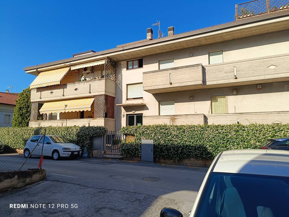immagine annuncio 11 di 13