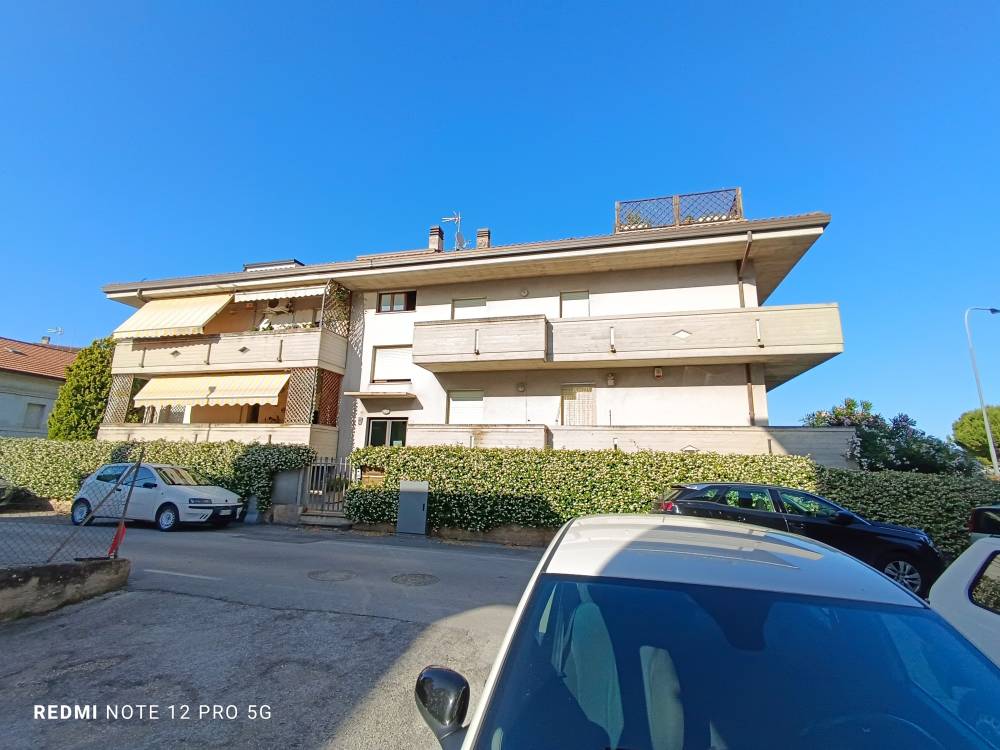 immagine annuncio 12 di 13