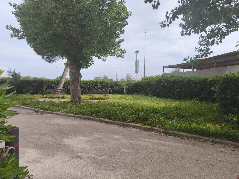 immagine annuncio 1 di 13