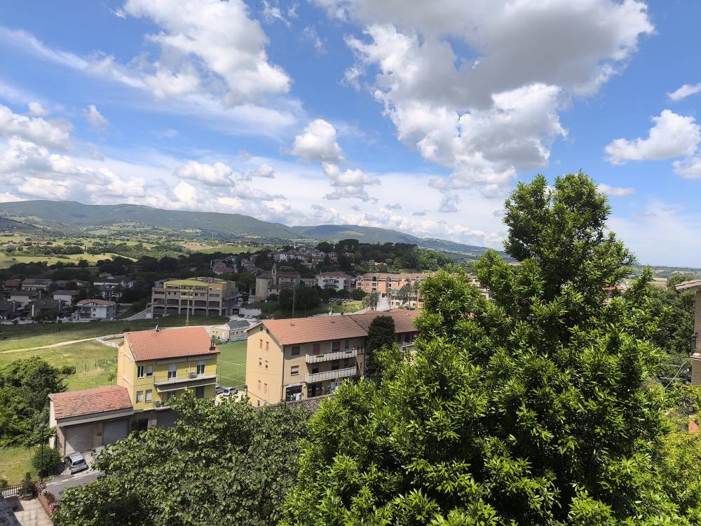 immagine annuncio 9 di 13