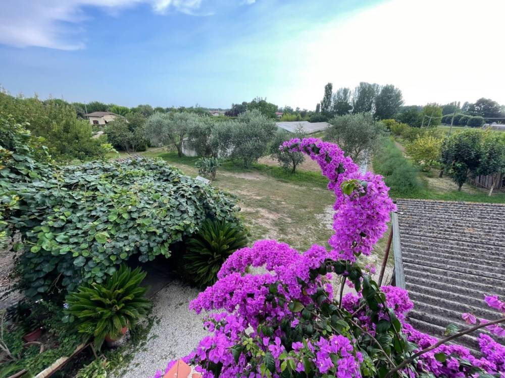 immagine annuncio 5 di 13