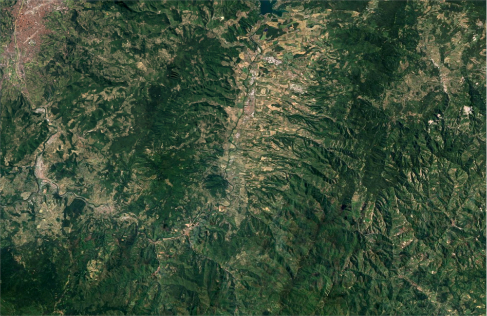 immagine annuncio 5 di 13