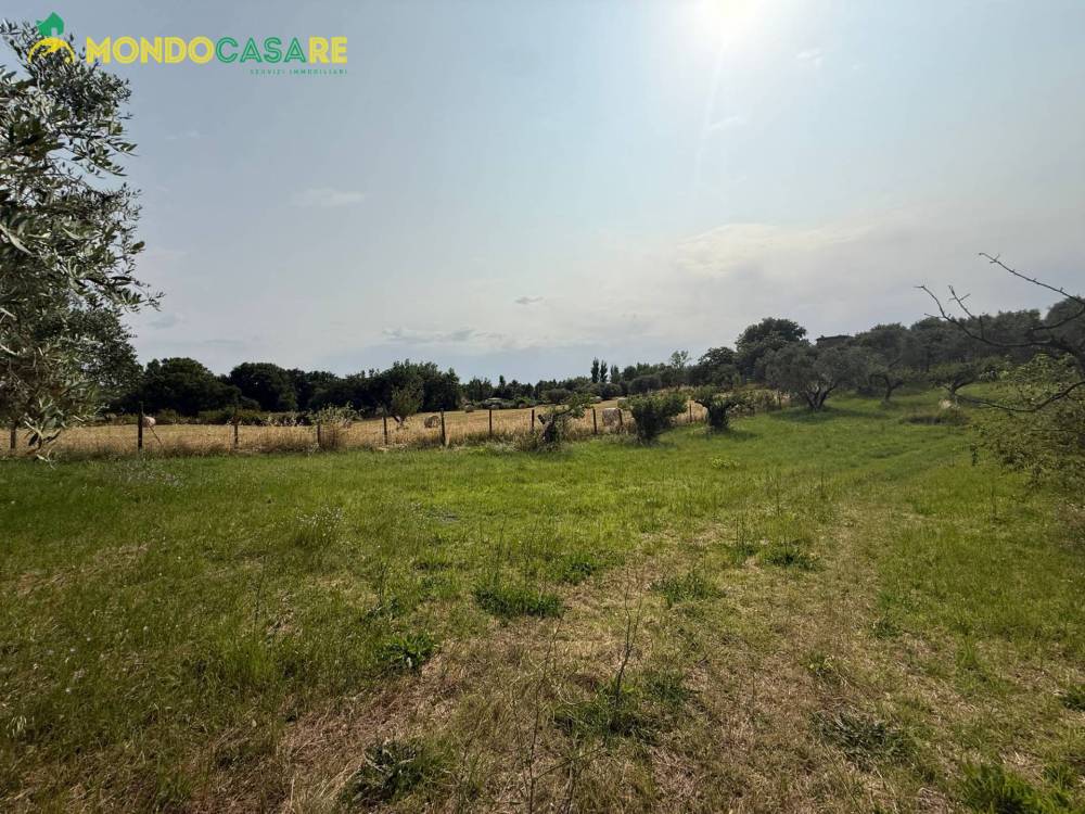 immagine annuncio 9 di 13