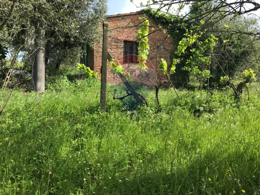 immagine annuncio 2 di 13