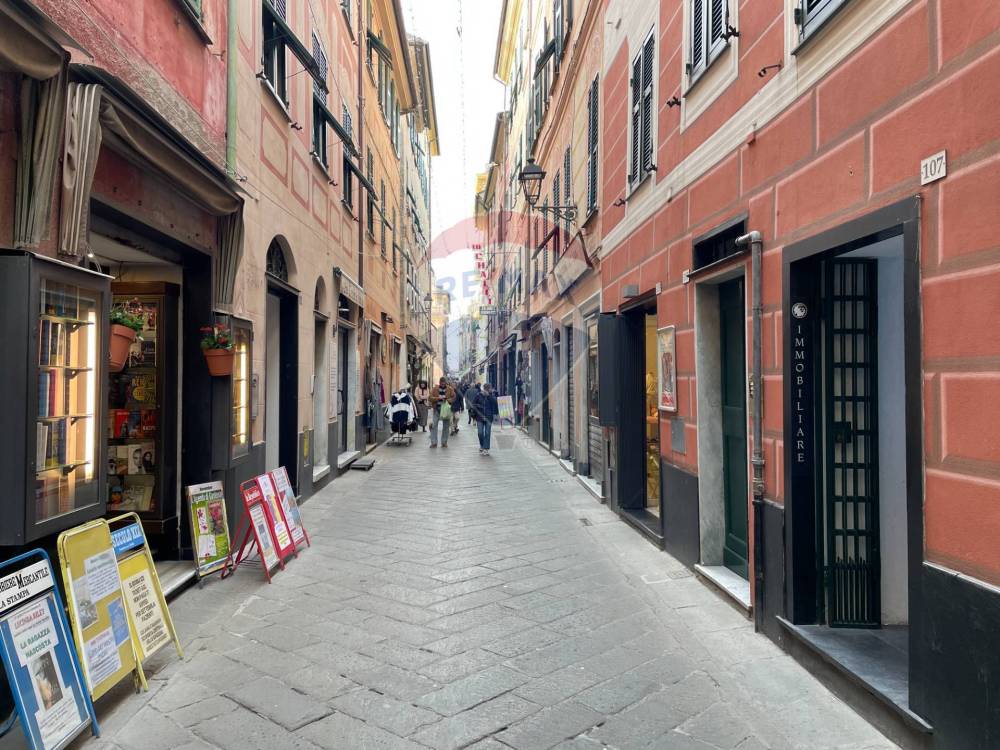 immagine annuncio 3 di 8