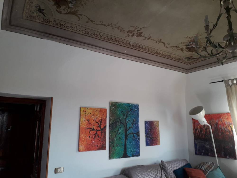 immagine annuncio 4 di 13