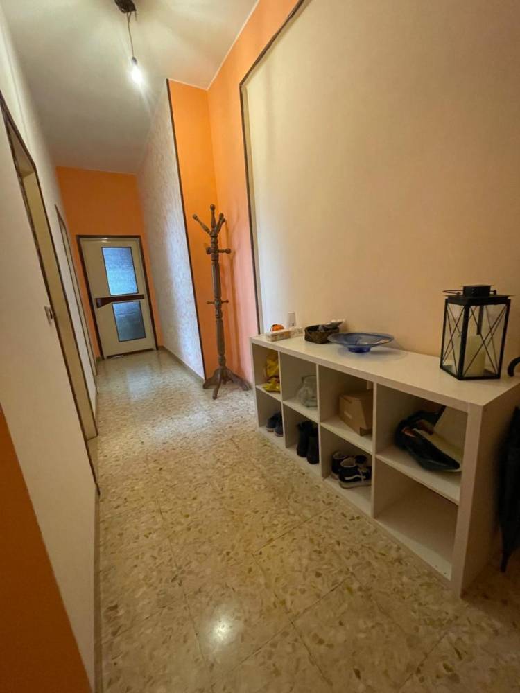 immagine annuncio 1 di 2