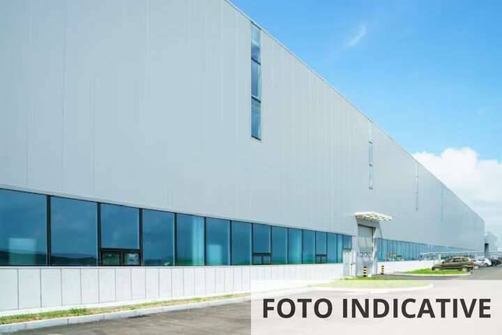 immagine annuncio 2 di 13