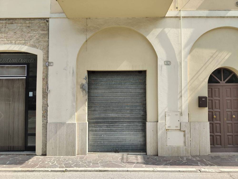 immagine annuncio 1 di 13