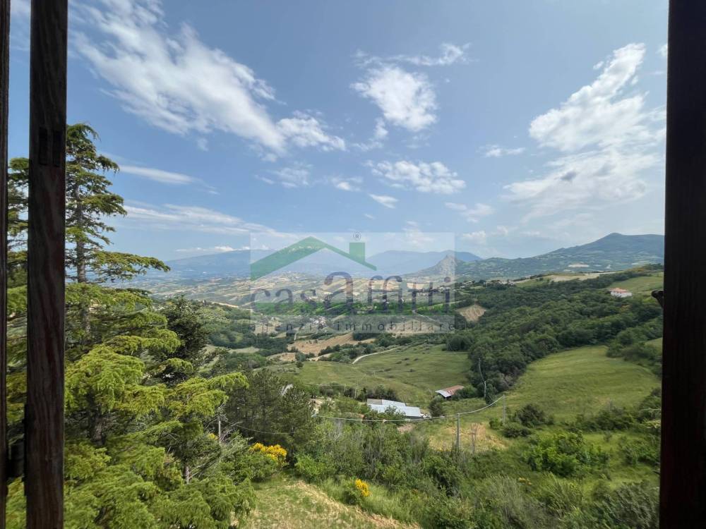 immagine annuncio 9 di 13
