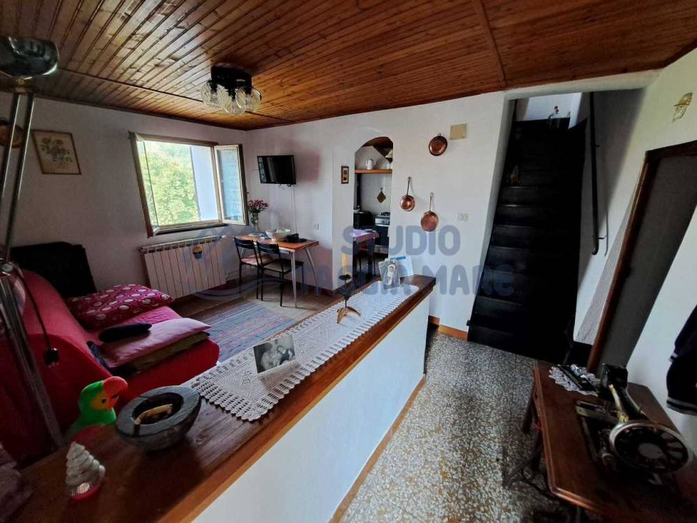 immagine annuncio 9 di 13
