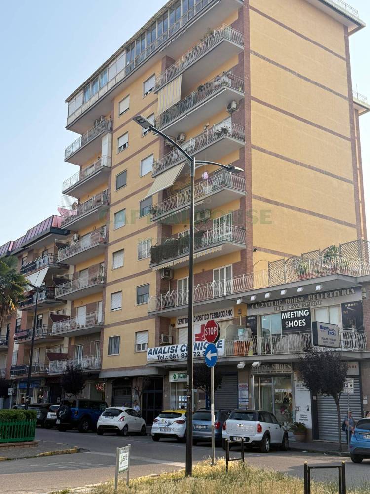 immagine annuncio 7 di 13